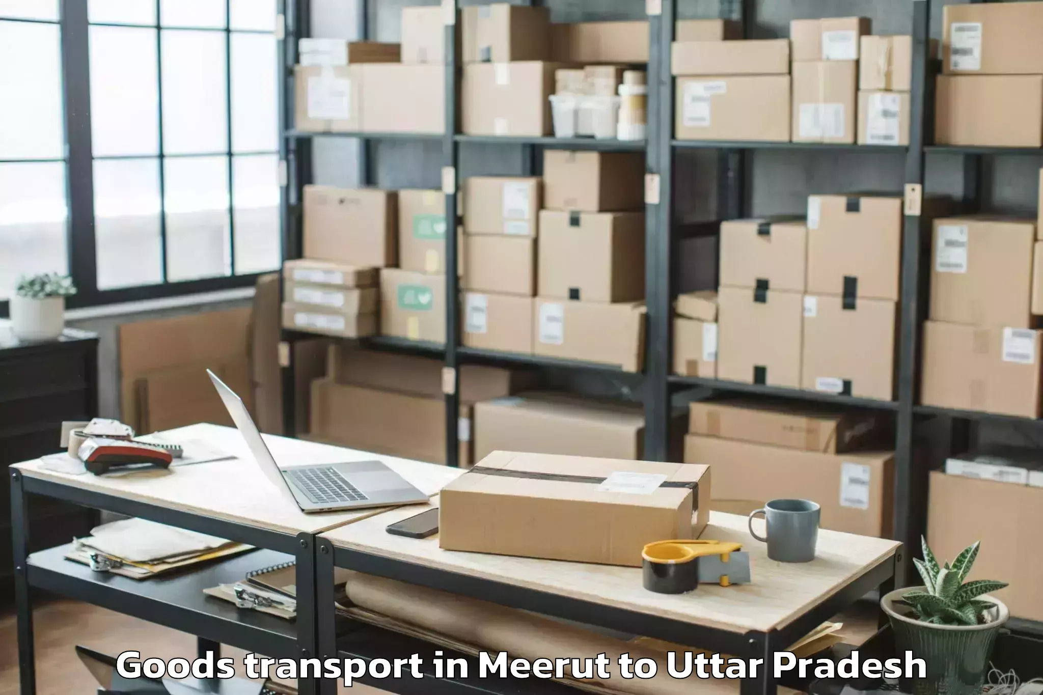 Quality Meerut to Invertis University Bareilly Goods Transport